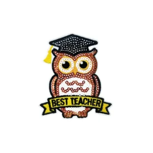 Best Teacher Owl Sequin Embroidered Patch